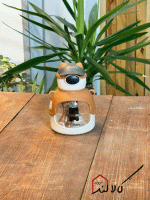 قمقمه کلاه دار