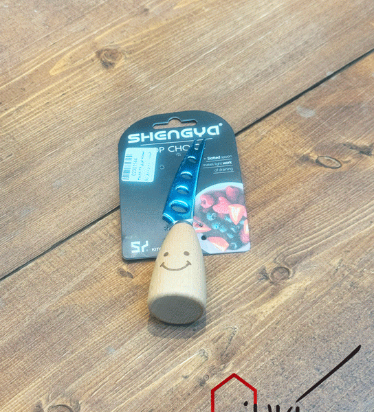 صبحانه خوری شنگیا