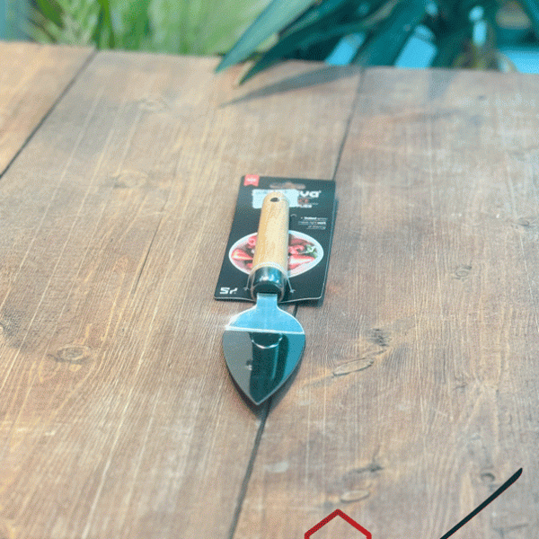 کیک بر شنگیا